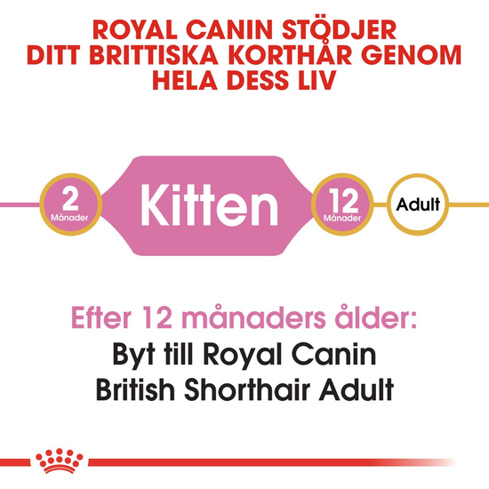 Royal Canin British Shorthair Kitten Torrfoder för Kattunge 2 kg