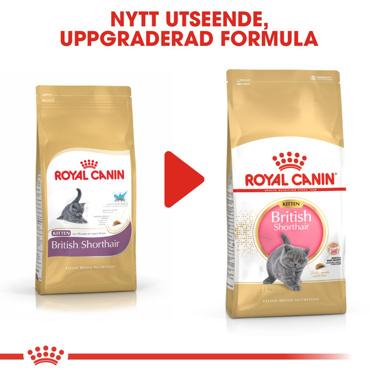 Royal Canin British Shorthair Kitten Torrfoder för Kattunge 2 kg