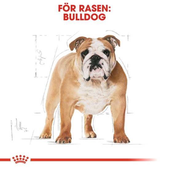 Royal Canin Bulldog Adult Torrfoder för Hund 12 kg