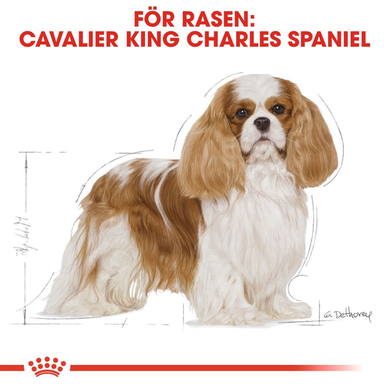 Royal Canin Cavalier King Charles Adult Torrfoder för Hund 7,5 kg