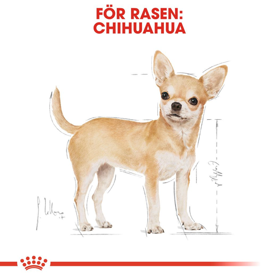 Royal Canin Chihuahua Adult Torrfoder för Hund 1,5 kg