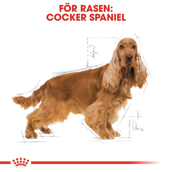 Royal Canin Cocker Adult Torrfoder för Hund 12 kg
