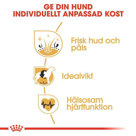 Royal Canin Cocker Adult Torrfoder för Hund 12 kg