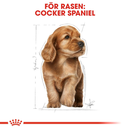 Royal Canin Cocker Puppy Torrfoder för Hundvalp 3 kg