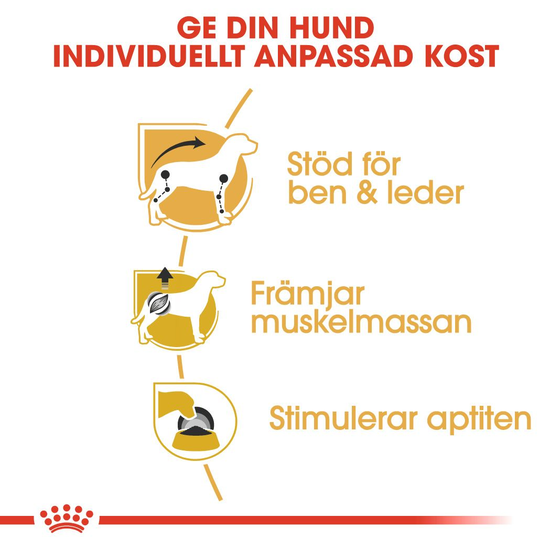 Royal Canin Dachshund Adult Loaf Våtfoder för Hund 1,02 kg