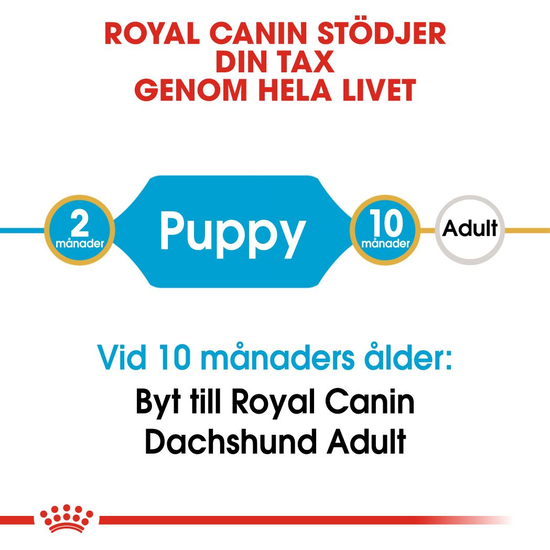 Royal Canin Dachshund Puppy Torrfoder för Hundvalp 1,5 kg