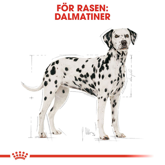 Royal Canin Dalmatian Adult Torrfoder för Hund 12 kg