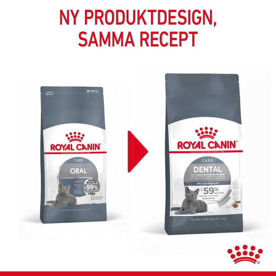 Royal Canin Dental Care Adult Torrfoder för Katt 1,5 kg