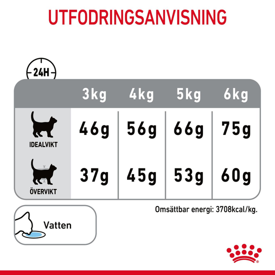 Royal Canin Dental Care Adult Torrfoder för Katt 3,5 kg