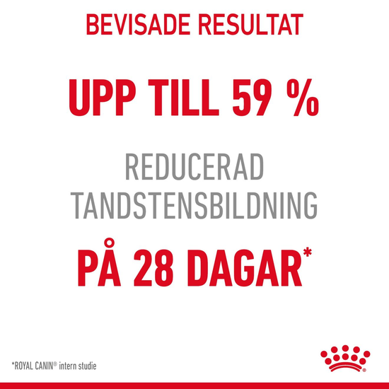 Royal Canin Dental Care Adult Torrfoder för Katt 3,5 kg