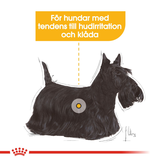 Royal Canin Dermacomfort Mini Adult Torrfoder för Hund 3 kg