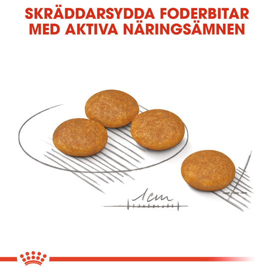 Royal Canin Dermacomfort Mini Adult Torrfoder för Hund 3 kg
