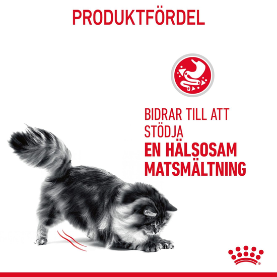 Royal Canin Digestive Care Adult Torrfoder för Katt 10 kg