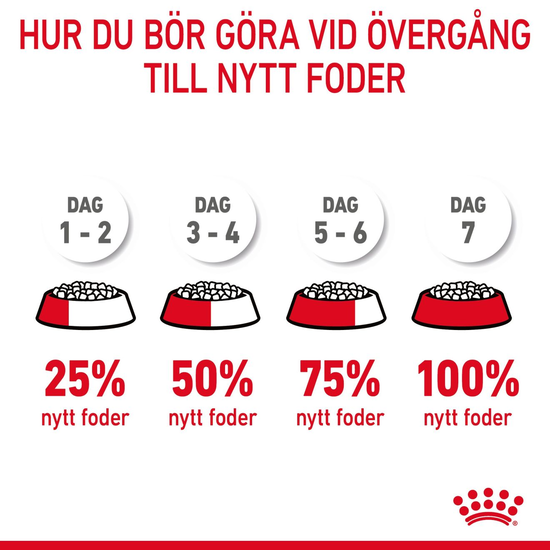 Royal Canin Digestive Care Adult Torrfoder för Katt 4 kg