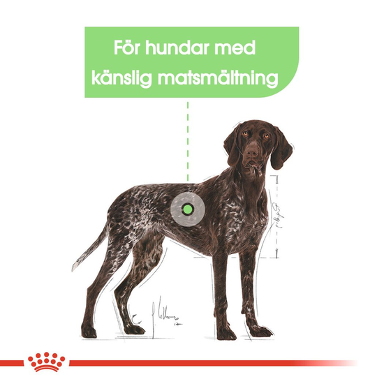 Royal Canin Digestive Care Maxi Adult Torrfoder för Hund 12 kg