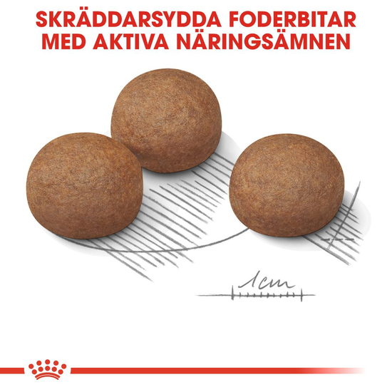 Royal Canin Digestive Care Maxi Adult Torrfoder för Hund 12 kg