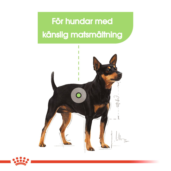 Royal Canin Digestive Care Mini Adult Torrfoder för Hund 3 kg
