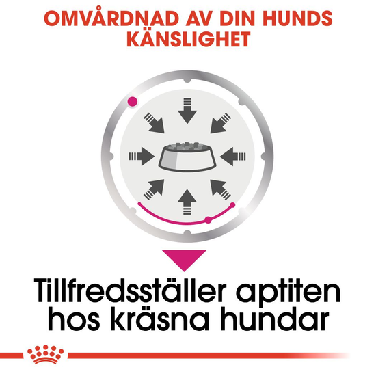 Royal Canin Exigent Adult Våtfoder för Hund 1,02 kg