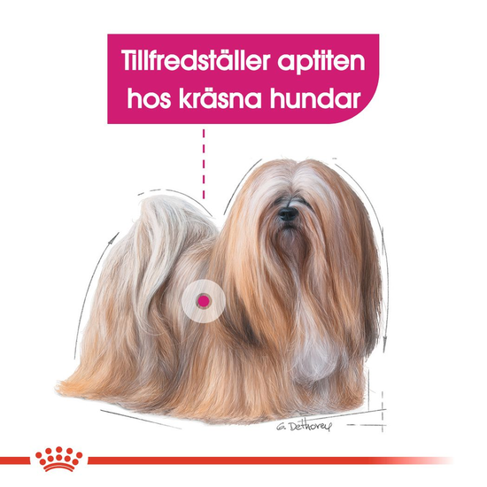 Royal Canin Exigent Mini Adult Torrfoder för Hund 3 kg