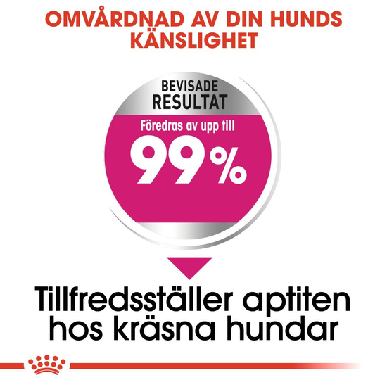 Royal Canin Exigent Mini Adult Torrfoder för Hund 3 kg