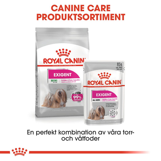 Royal Canin Exigent Mini Adult Torrfoder för Hund 3 kg