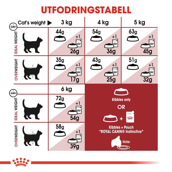 Royal Canin Fit Adult Torrfoder för Katt 10 kg