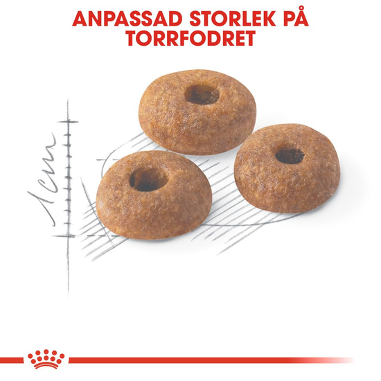 Royal Canin Fit Adult Torrfoder för Katt 10 kg