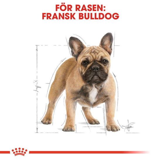 Royal Canin French Bulldog Adult Torrfoder för Hund 9 kg