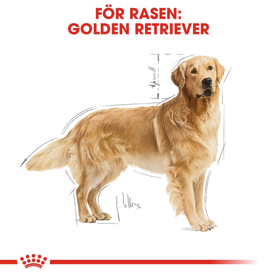 Royal Canin Golden Retriever Adult Torrfoder för Hund 15 kg