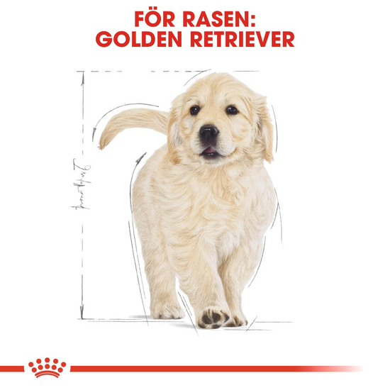 Royal Canin Golden Retriever Puppy Torrfoder för Hundvalp 12 kg