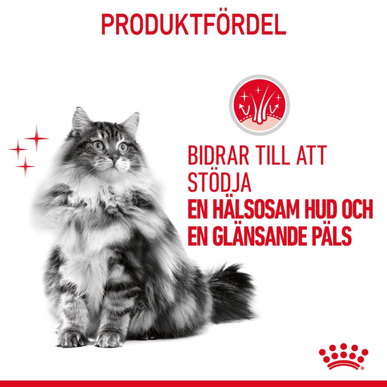 Royal Canin Hair & Skin Care Adult Torrfoder för Katt 2 kg