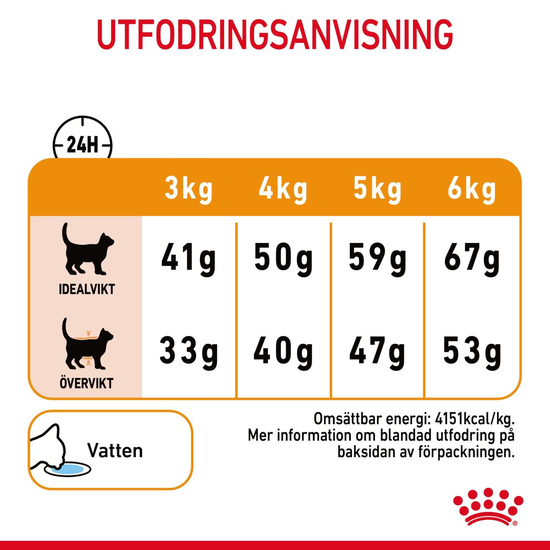 Royal Canin Hair & Skin Care Adult Torrfoder för Katt 4 kg