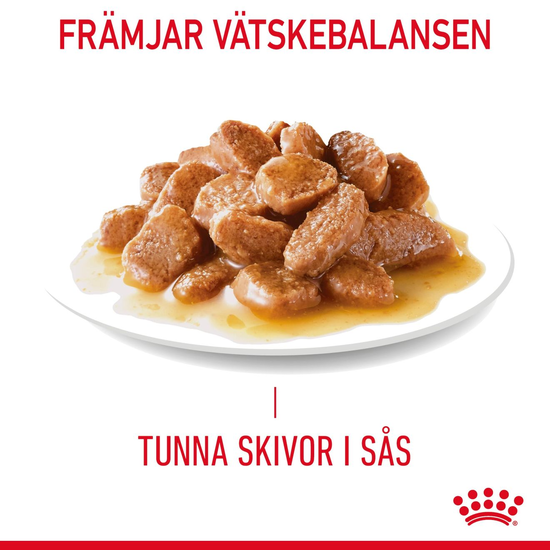 Royal Canin Hair & Skin Care Gravy Adult Våtfoder för Katt 1,02 kg