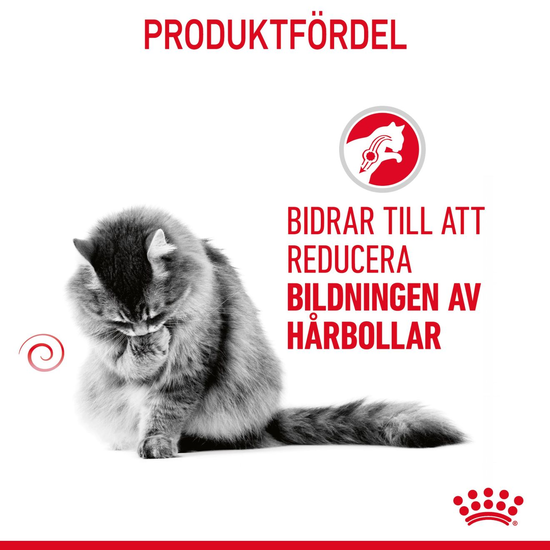 Royal Canin Hairball Care Adult Torrfoder för Katt 2 kg