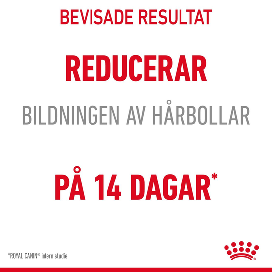 Royal Canin Hairball Care Adult Torrfoder för Katt 4 kg