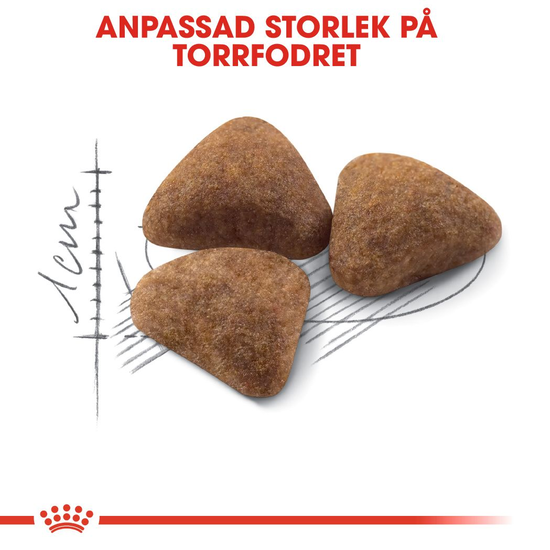 Royal Canin Indoor Adult Torrfoder för Katt 10 kg