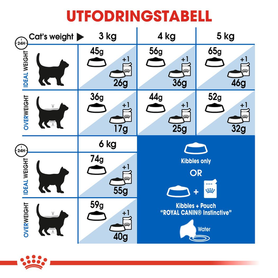 Royal Canin Indoor Adult Torrfoder för Katt 10 kg