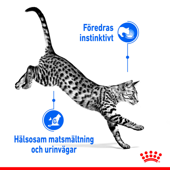 Royal Canin Indoor Sterilised Gravy Adult Våtfoder för Katt 1,02 kg