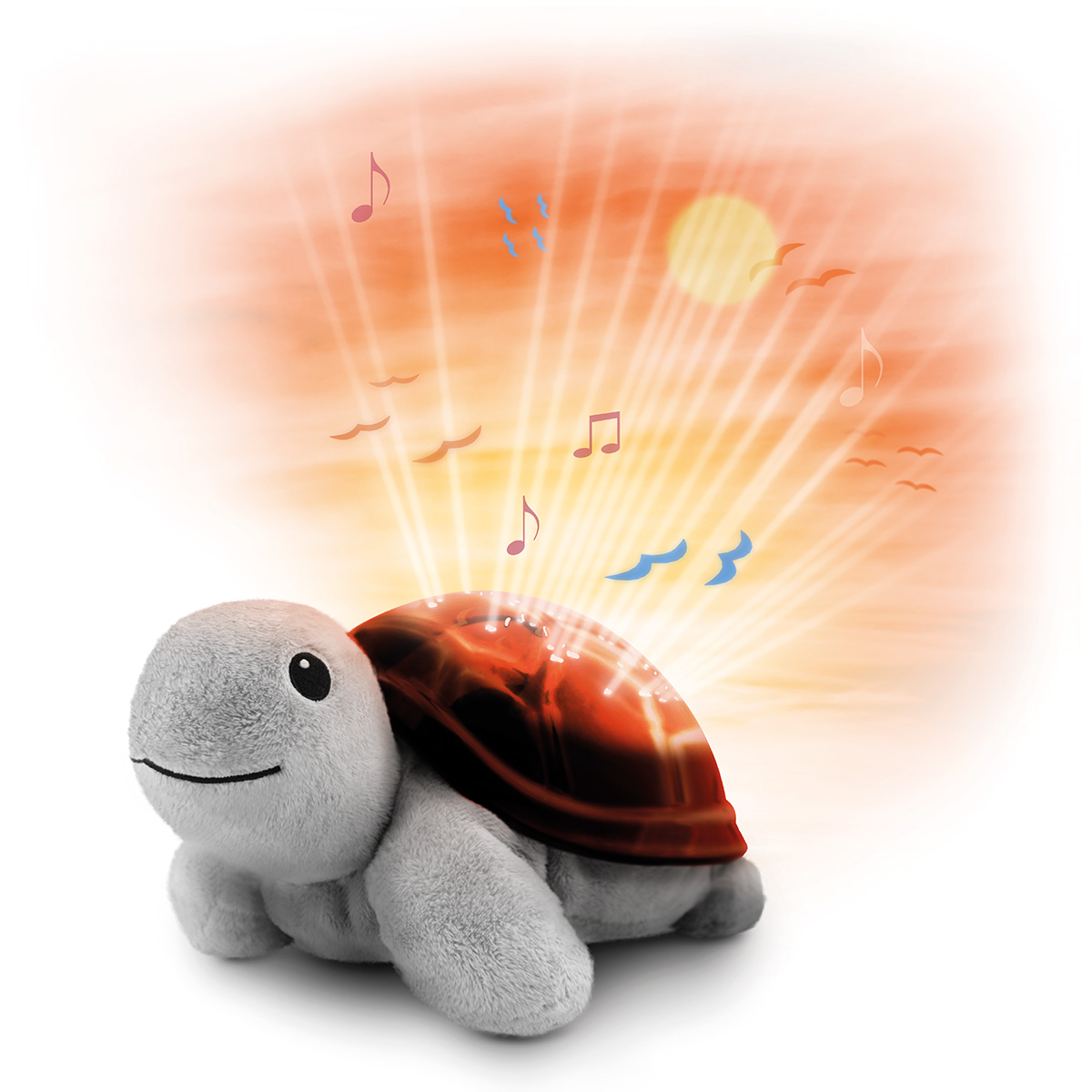 Zazu Projector Tim the Turtle