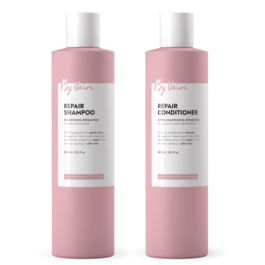By Veira Repair Duo