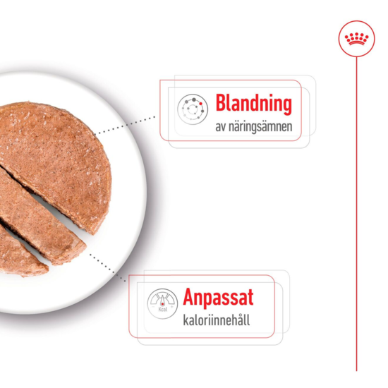 Royal Canin Mini Ageing Loaf Våtfoder för Hund 2,34 kg