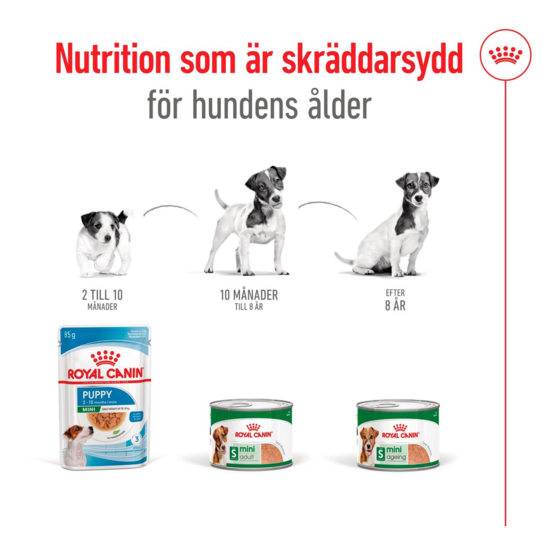 Royal Canin Mini Ageing Loaf Våtfoder för Hund 2,34 kg