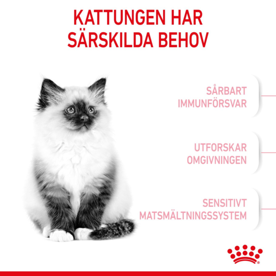 Royal Canin Kitten Torrfoder för Kattunge 4 kg