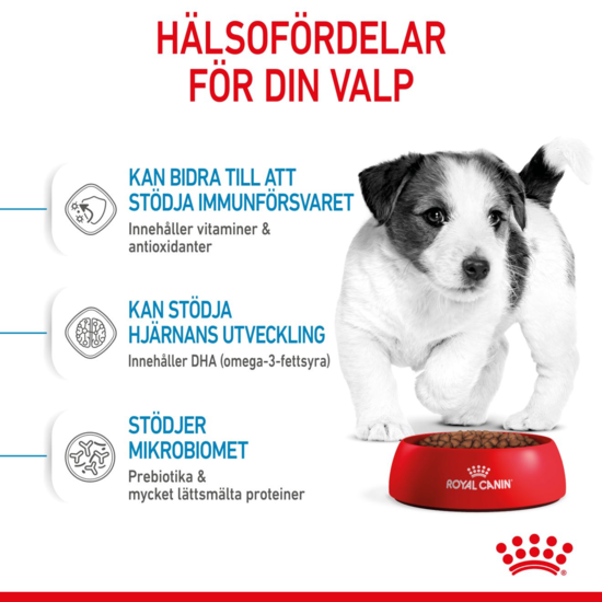 Royal Canin Mini Puppy Torrfoder för Hundvalp 4 kg