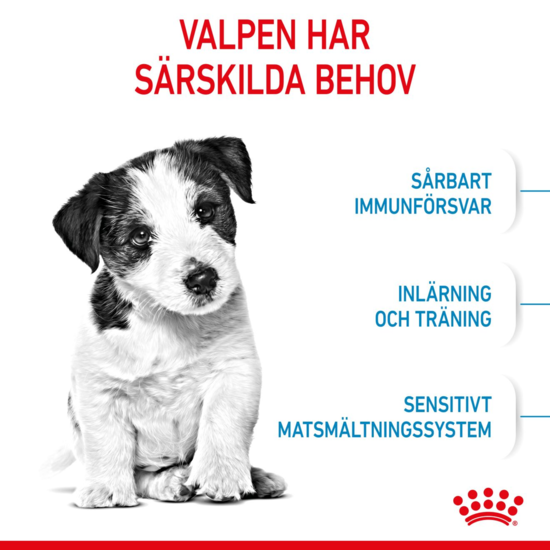 Royal Canin Mini Puppy Torrfoder för Hundvalp 2 kg