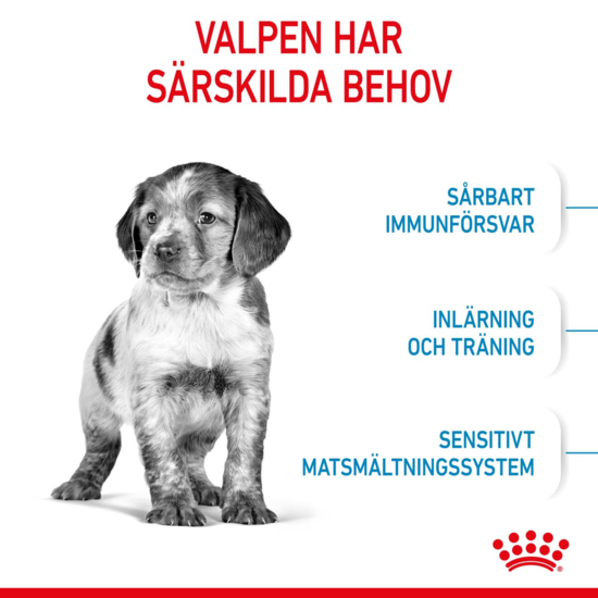 Royal Canin Medium Puppy Torrfoder för Hundvalp 4 kg