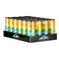 Latitude 65 Kusten Ananas 24 x 330 ml
