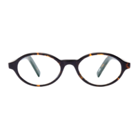 ÅBLICK Studios Sara Läsglasögon Classic Tortoise +2.0
