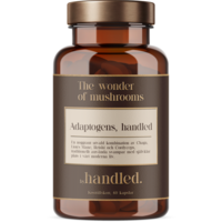 By Handled The wonder of Mushrooms 60 kapslar