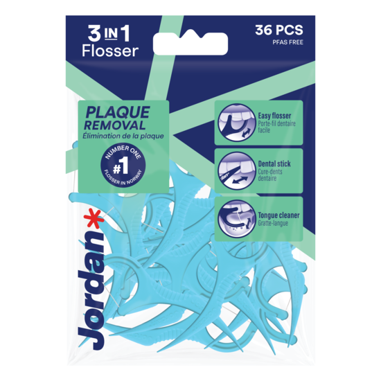 3 in 1 Flosser
